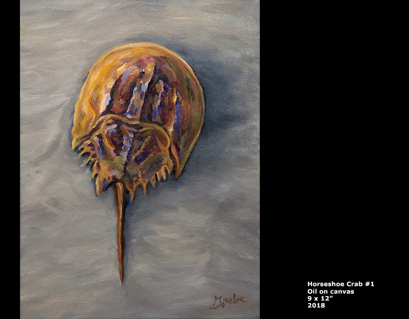 Horseshoe Crab #1 oil painting by Hank Grebe