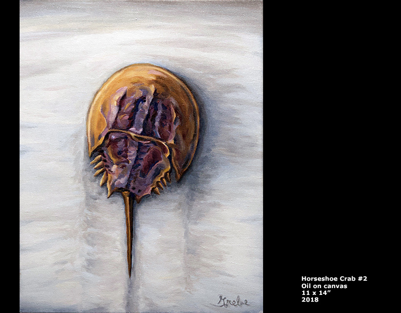 Horseshoe Crab #2 oil painting by Hank Grebe