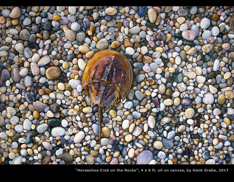 Horseshoe Crab oil painting by Hank Grebe