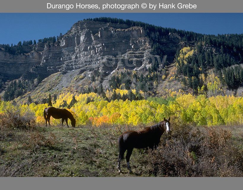 Durango Horses
